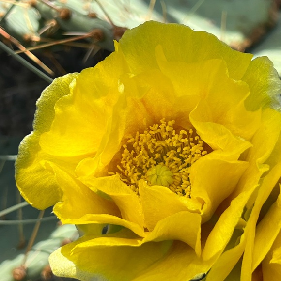 ❤️ LIKE to be notified when I go LIVE ❤️ - Picture 10 of 16